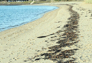 v-laisse-mer1-300x206